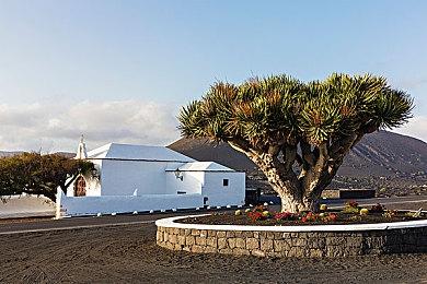 最好的一作！ 《牧场物语》官方庆祝新作销量达50万份