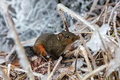 超级英雄砍杀游戏《Superfuse》公布 年内登陆PC