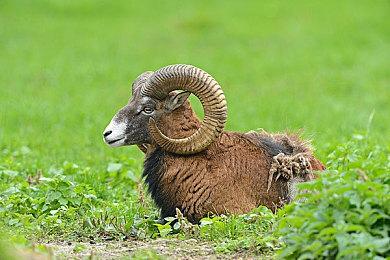 《了不起的修仙模拟器》移动版公测定档 12月20日上线